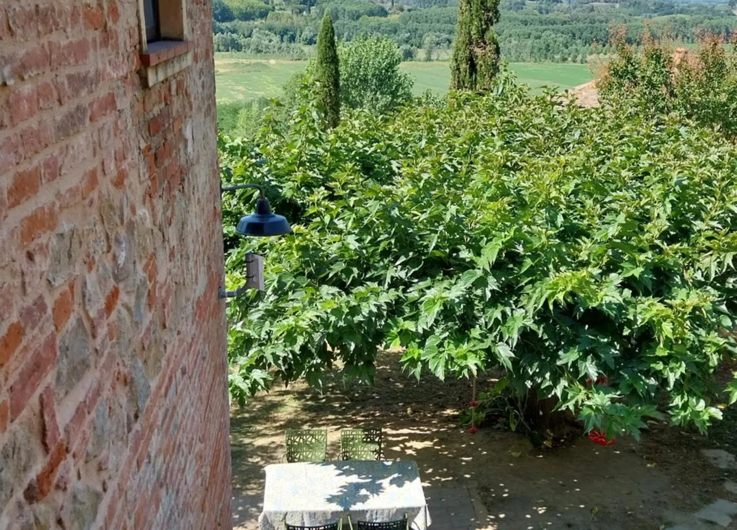 Agriturismo La Ca'Solare Palaia 0*,